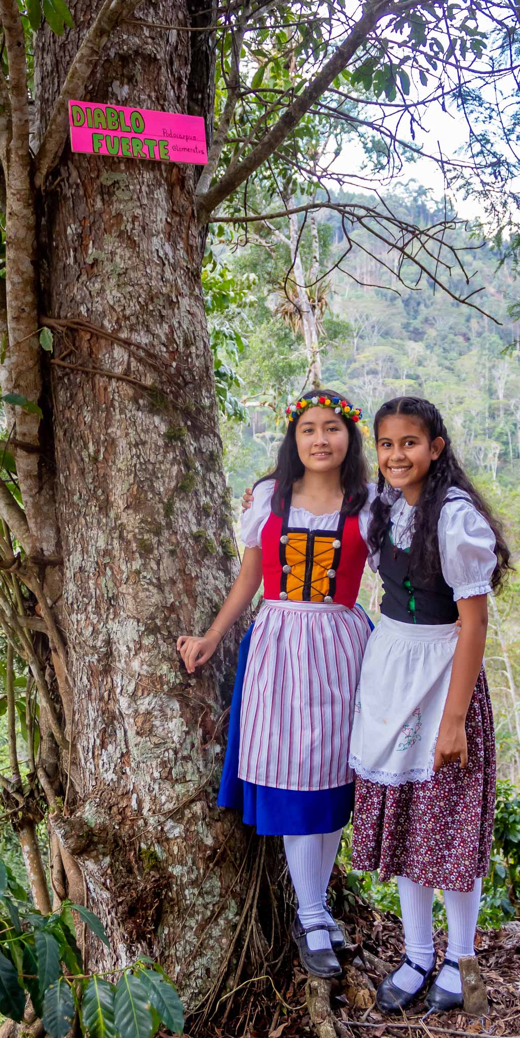Niñas de descendencia austroalemana al pie de un árbol nativo denominado "Diablo Fuerte"