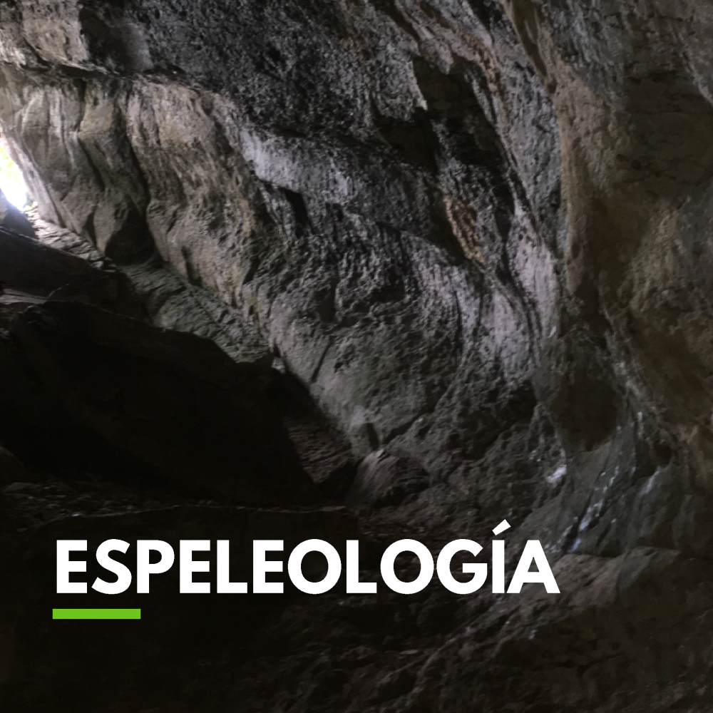 Vista desde el interior del 'Fortín del Chullachaqui', la cueva más grande y profunda de Villa Rica y Pasco